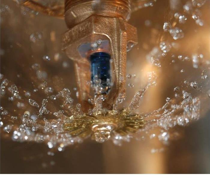 Sprinkler with water coming out