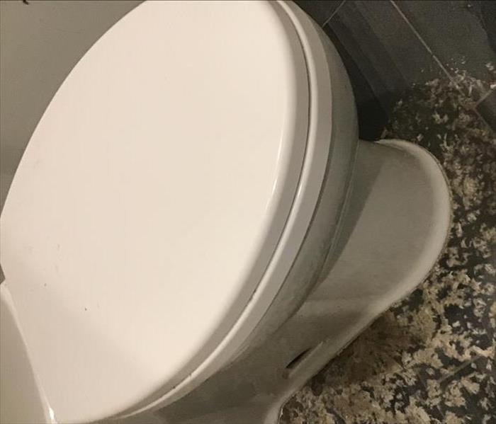 toilet leaking water